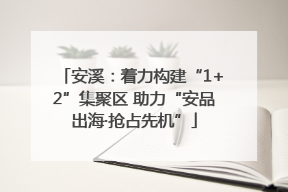 安溪：着力构建“1+2”集聚区 助力“安品出海·抢占先机”