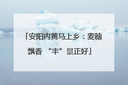安阳内黄马上乡：麦穗飘香 “丰”景正好