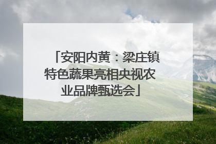 安阳内黄：梁庄镇特色蔬果亮相央视农业品牌甄选会