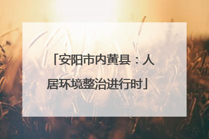 安阳市内黄县：人居环境整治进行时