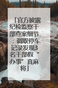 官方披露纪检监察干部查案细节：调取停车记录发现3名干部假“办事”真麻将