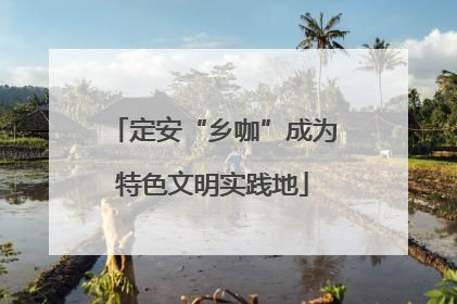 定安“乡咖”成为特色文明实践地