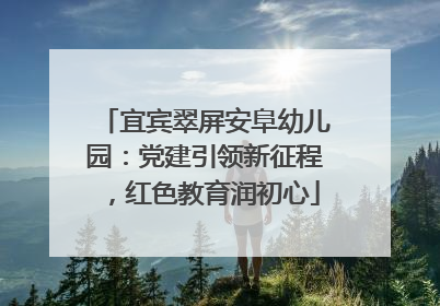 宜宾翠屏安阜幼儿园：党建引领新征程，红色教育润初心