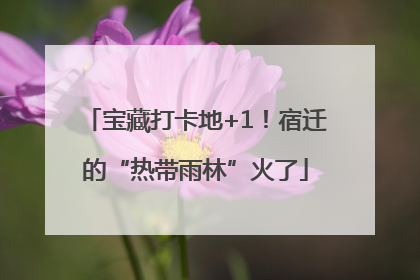 宝藏打卡地+1！宿迁的“热带雨林”火了