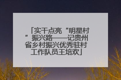 实干点亮“明星村”振兴路——记贵州省乡村振兴优秀驻村工作队员王培欢