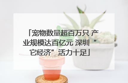宠物数量超百万只 产业规模达百亿元 深圳“它经济”活力十足