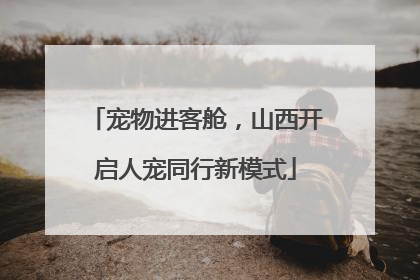 宠物进客舱，山西开启人宠同行新模式