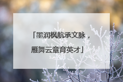 墨润枫航承文脉，雁舞云章育英才
