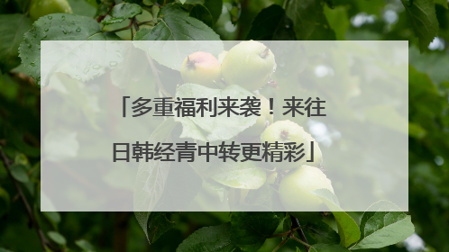 多重福利来袭！来往日韩经青中转更精彩