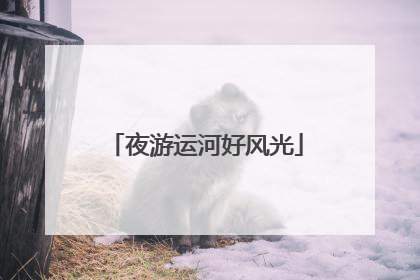 夜游运河好风光