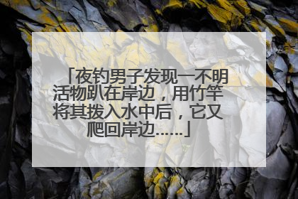 夜钓男子发现一不明活物趴在岸边，用竹竿将其拨入水中后，它又爬回岸边……