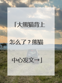 大熊猫背上怎么了？熊猫中心发文→