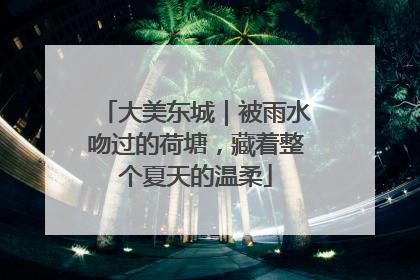 大美东城｜被雨水吻过的荷塘，藏着整个夏天的温柔