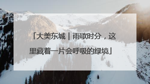 大美东城｜雨歇时分，这里藏着一片会呼吸的绿境