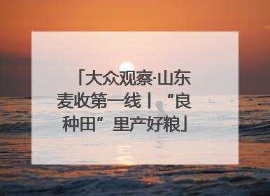 大众观察·山东麦收第一线丨“良种田”里产好粮
