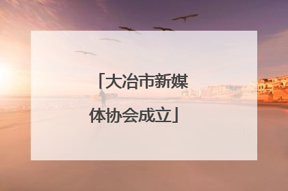 大冶市新媒体协会成立