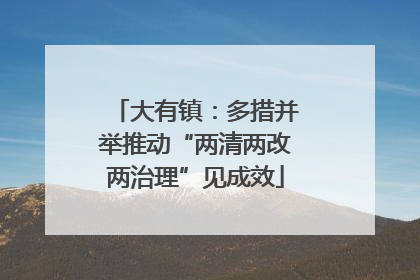 大有镇：多措并举推动“两清两改两治理”见成效