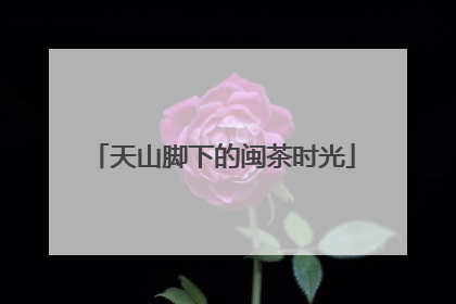 天山脚下的闽茶时光
