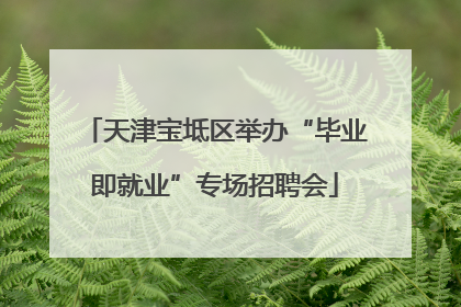 天津宝坻区举办“毕业即就业”专场招聘会