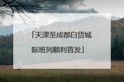 天津至成都白货城际班列顺利首发