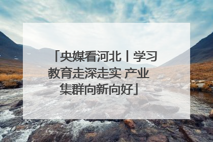 央媒看河北丨学习教育走深走实 产业集群向新向好