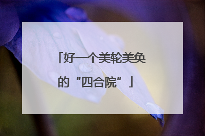 好一个美轮美奂的“四合院”