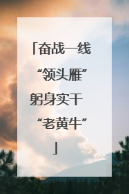 奋战一线“领头雁” 躬身实干“老黄牛”