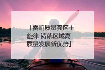 奏响质量强区主旋律 铸就区域高质量发展新优势