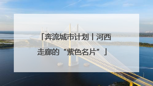 奔流城市计划丨河西走廊的“紫色名片”