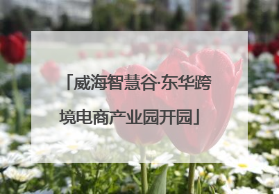 威海智慧谷·东华跨境电商产业园开园