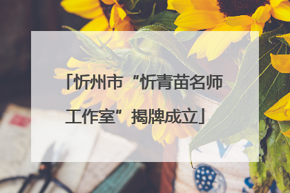 忻州市“忻青苗名师工作室”揭牌成立