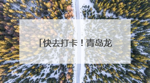 快去打卡！青岛龙江路漫画街上新Labubu主题墙绘