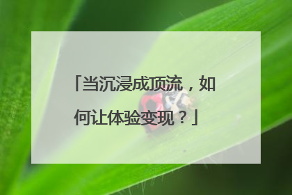 当沉浸成顶流，如何让体验变现？