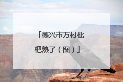 德兴市万村枇杷熟了（图）