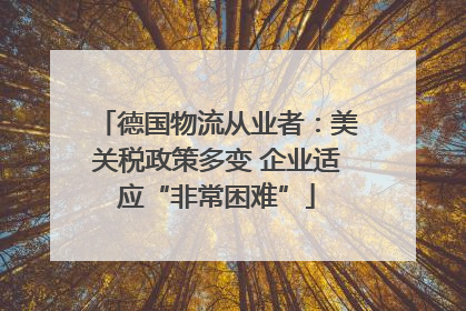 德国物流从业者：美关税政策多变 企业适应“非常困难”