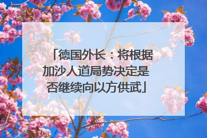 德国外长：将根据加沙人道局势决定是否继续向以方供武