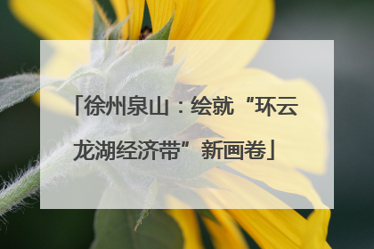 徐州泉山：绘就“环云龙湖经济带”新画卷