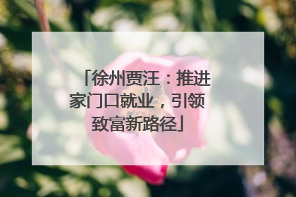 徐州贾汪：推进家门口就业，引领致富新路径
