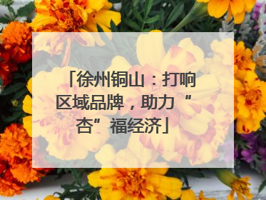 徐州铜山：打响区域品牌，助力“杏”福经济