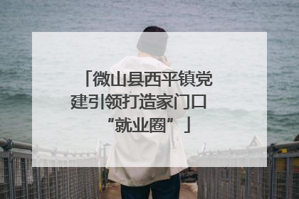 微山县西平镇党建引领打造家门口“就业圈”