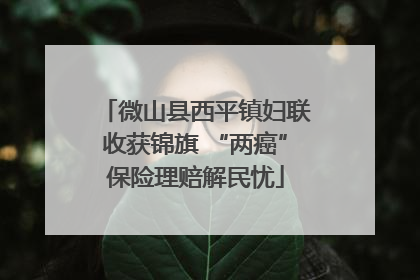 微山县西平镇妇联收获锦旗 “两癌”保险理赔解民忧