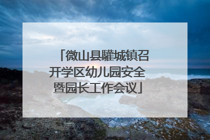 微山县驩城镇召开学区幼儿园安全暨园长工作会议