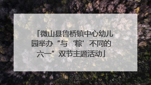 微山县鲁桥镇中心幼儿园举办“与‘粽’不同的六一”双节主题活动