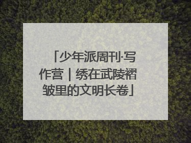 少年派周刊·写作营｜绣在武陵褶皱里的文明长卷