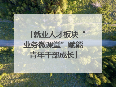 就业人才板块“业务微课堂”赋能青年干部成长