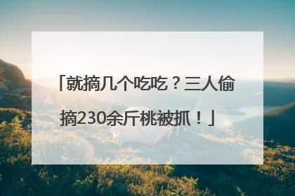 就摘几个吃吃？三人偷摘230余斤桃被抓！