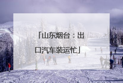 山东烟台：出口汽车装运忙