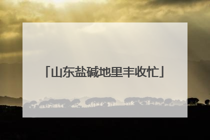 山东盐碱地里丰收忙