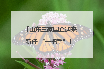 山东三家国企迎来新任 “一把手”