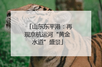 山东东平港：再现京杭运河“黄金水道”盛景